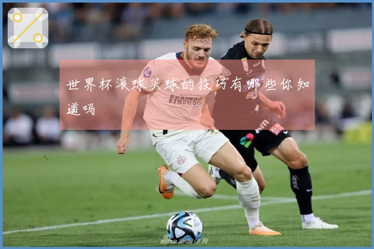 世界杯滚球买球的技巧有哪些你知道吗